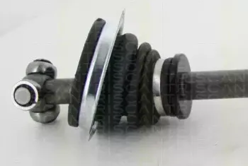 triscan-854025672