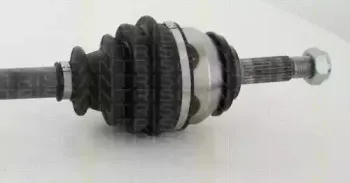 triscan-854025672