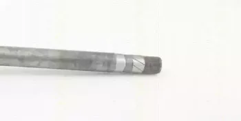 triscan-854025675