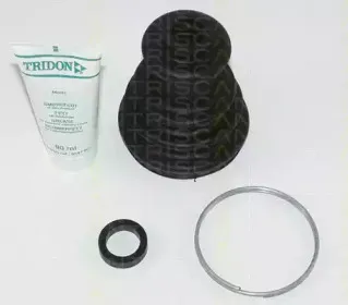 triscan-854025807