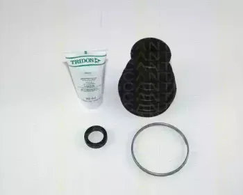triscan-854025808