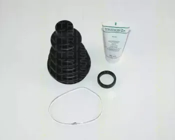 triscan-854025810