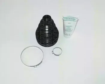 triscan-854025811