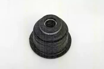 triscan-854025906