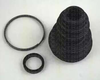 triscan-854025907