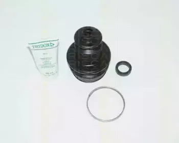 triscan-854025908