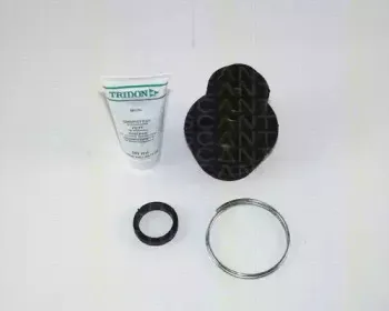 triscan-854025911