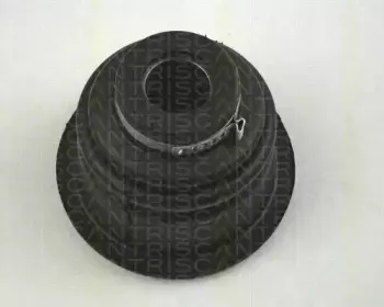 triscan-854025912