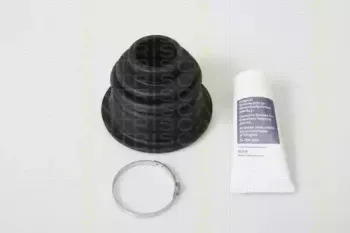 triscan-854025913