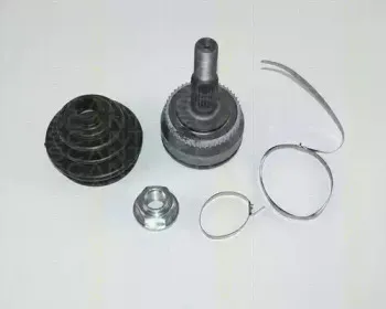 triscan-854027106