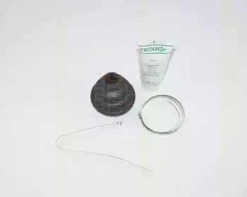 triscan-854027701