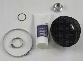 triscan-854027803