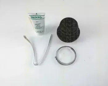 triscan-854027901