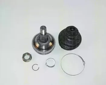 triscan-854028109