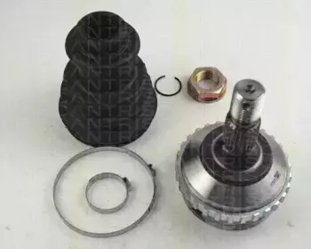 triscan-854028118