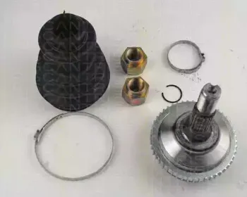 triscan-854028121