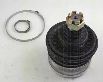 triscan-854028123