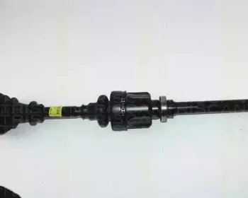 triscan-854028504