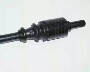triscan-854028505