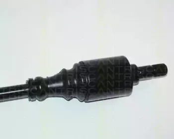triscan-854028506