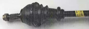 triscan-854028543