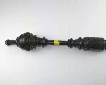 triscan-854028544