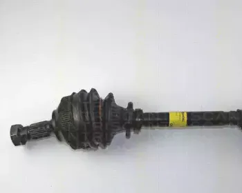 triscan-854028550