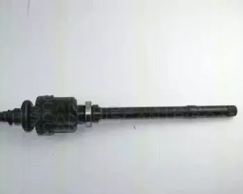 triscan-854028550
