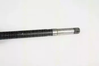 triscan-854028558