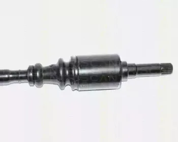 triscan-854028566