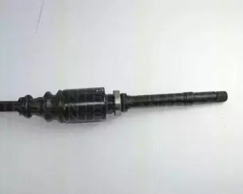 triscan-854028568