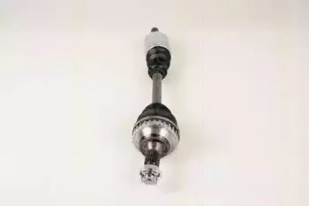 triscan-854028569