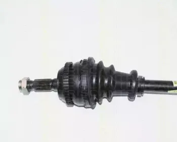 triscan-854028574