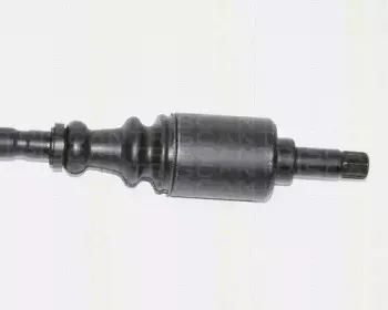 triscan-854028577