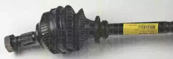 triscan-854028578