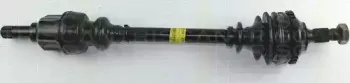 triscan-854028579