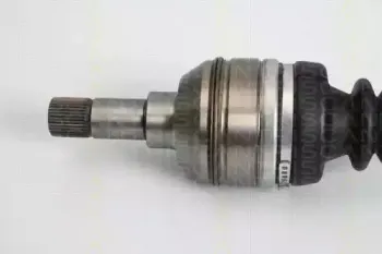 triscan-854028583