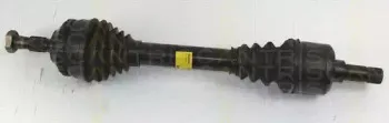 triscan-854028585