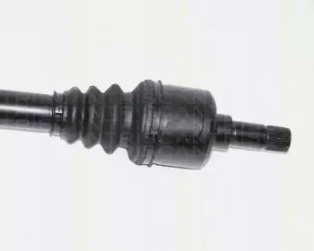 triscan-854028585