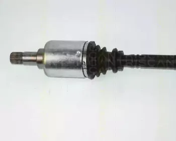 triscan-854028589