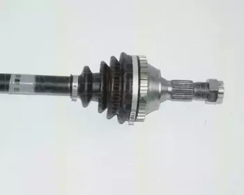 triscan-854028589