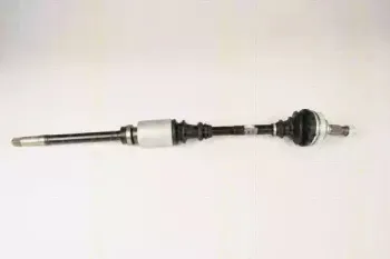 triscan-854028592