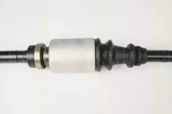 triscan-854028592