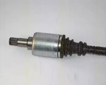 triscan-854028595