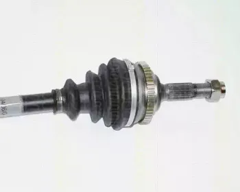 triscan-854028595