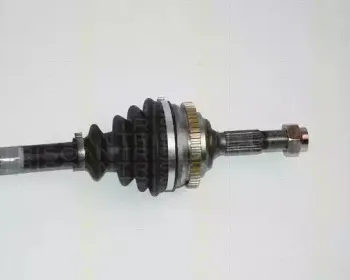 triscan-854028596