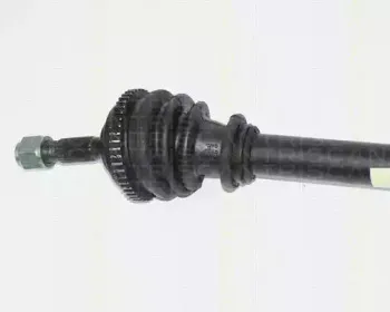 triscan-854028598