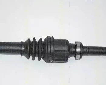 triscan-854028598
