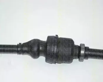 triscan-854028604
