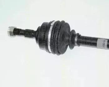 triscan-854028606